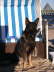 db_Artus_Usedom1