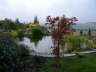 db_Garten31