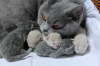 Minu im April 2011 mit Babys