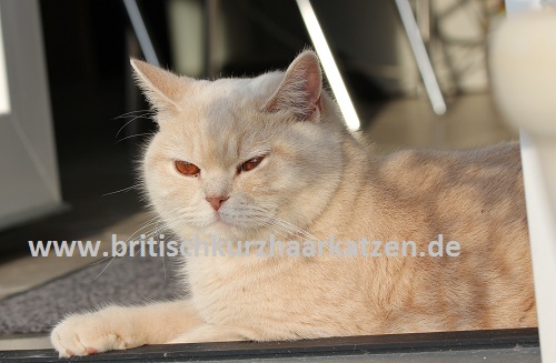 Bambina07.04.2013