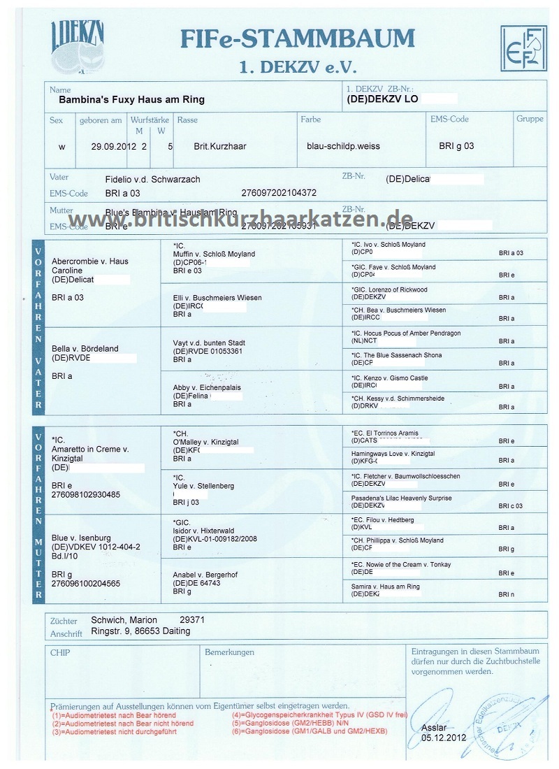 Fuxi Stammbaum 001