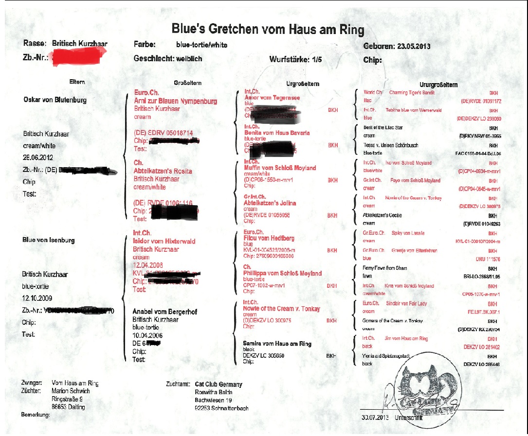 Stammbaum Gretchen
