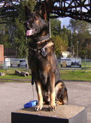 Artus der W�chter