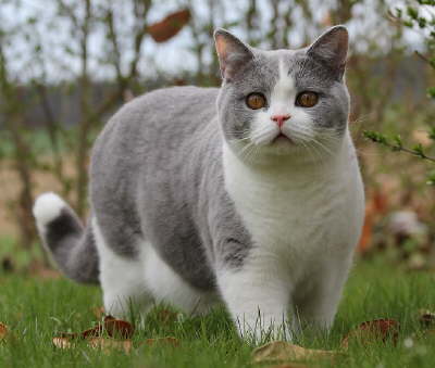 FidelioAprilGarten6