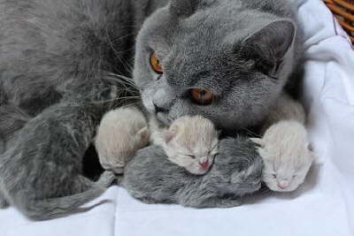 Minu im April 2011 mit Babys